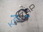 ���� �������� ������ ��������������� �������
