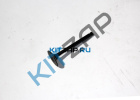 ������ ��������